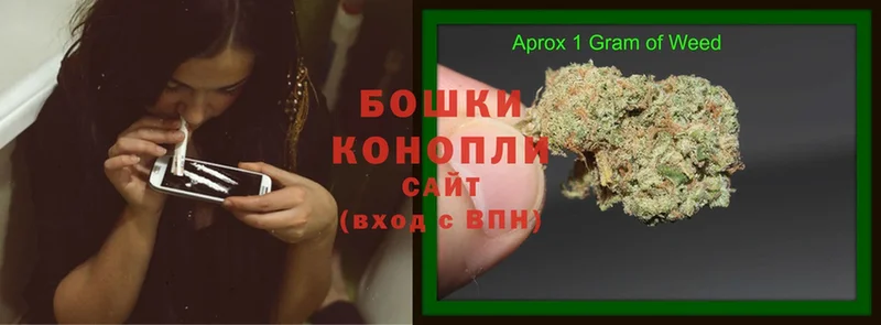 Бошки марихуана THC 21%  Заозёрск 